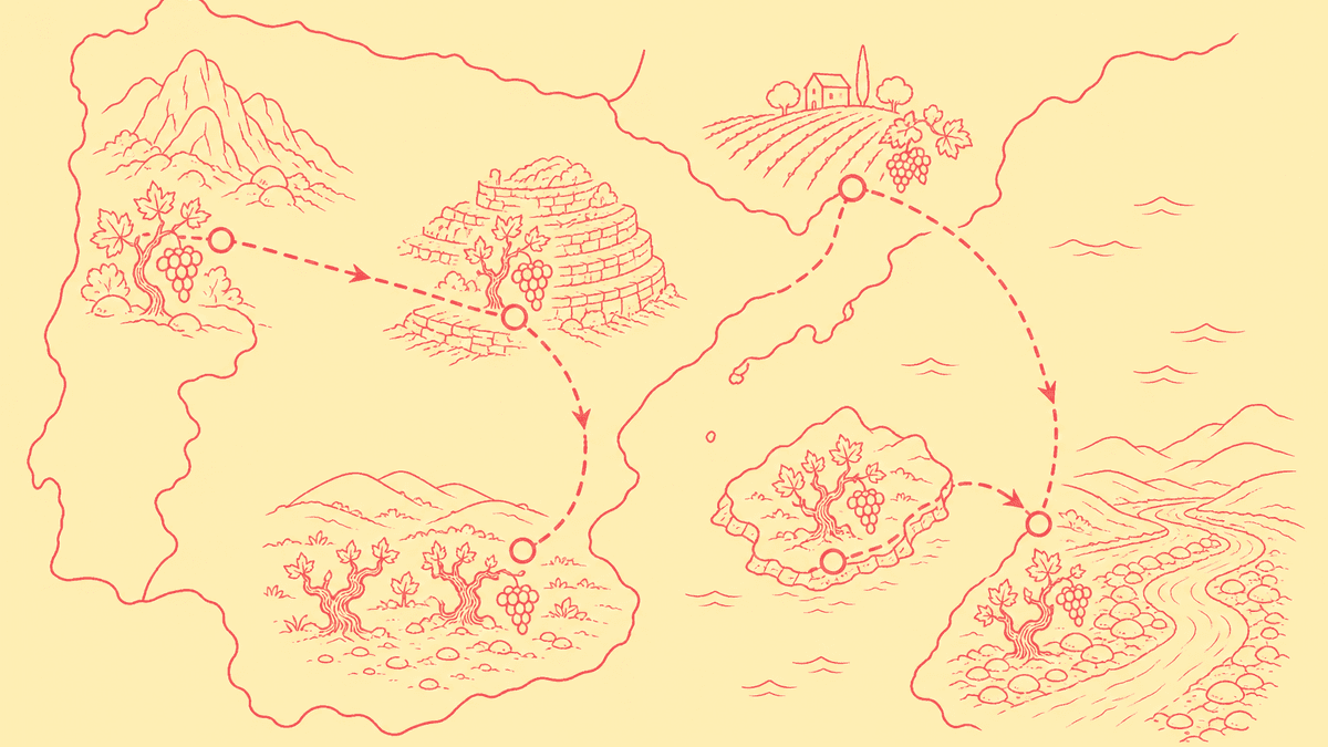 A stylised cross-border arc tracing Garnacha from the Sierra de Gredos through Priorat, Campo de Borja and Navarra to Sardinia and the southern Rhône