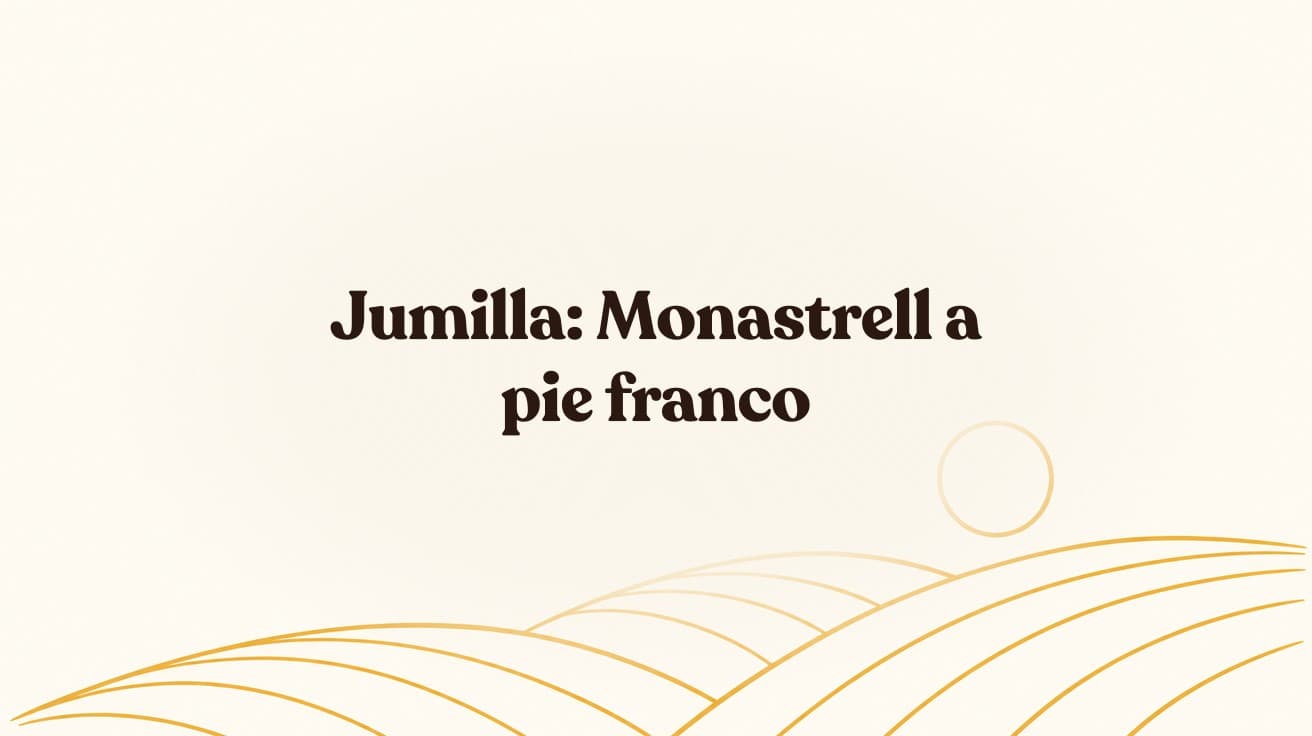 Guía del vino de Jumilla: Monastrell a pie franco y la mejor relación calidad-precio de España