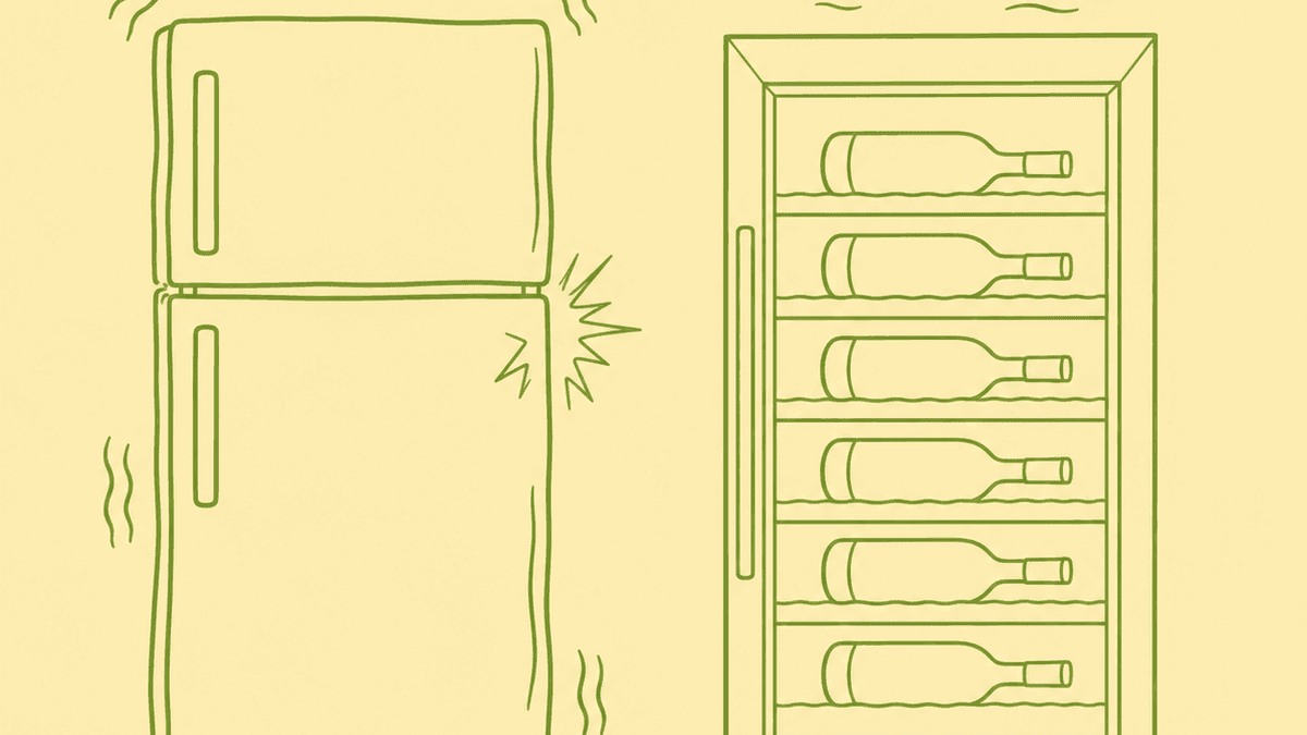 Side-by-side comparison of a domestic fridge and a proper wine store, showing temperature, humidity, vibration and light