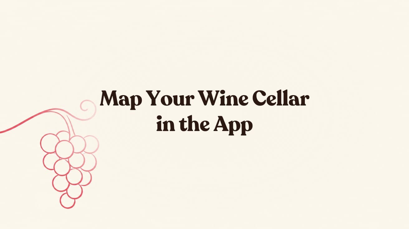 Map Your Wine Cellar in the App: Give Every Bottle an Address