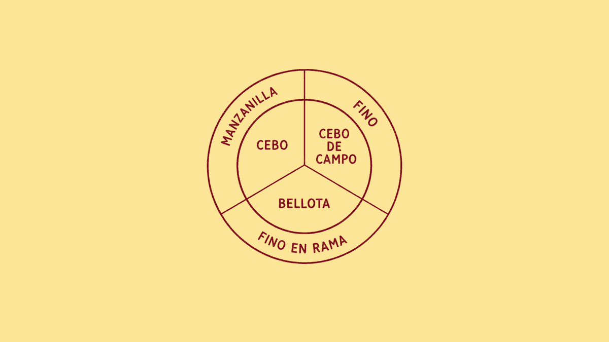 Flavour wheel matching jamon iberico cure levels against Fino, Manzanilla and Manzanilla Pasada sherry styles